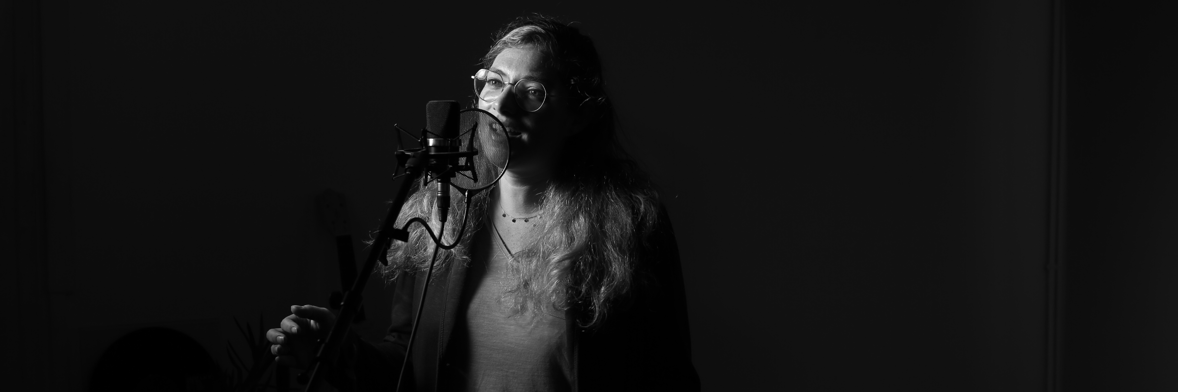 Mariss, Chanteur Variété Française en représentation à Loir et Cher - photo de couverture