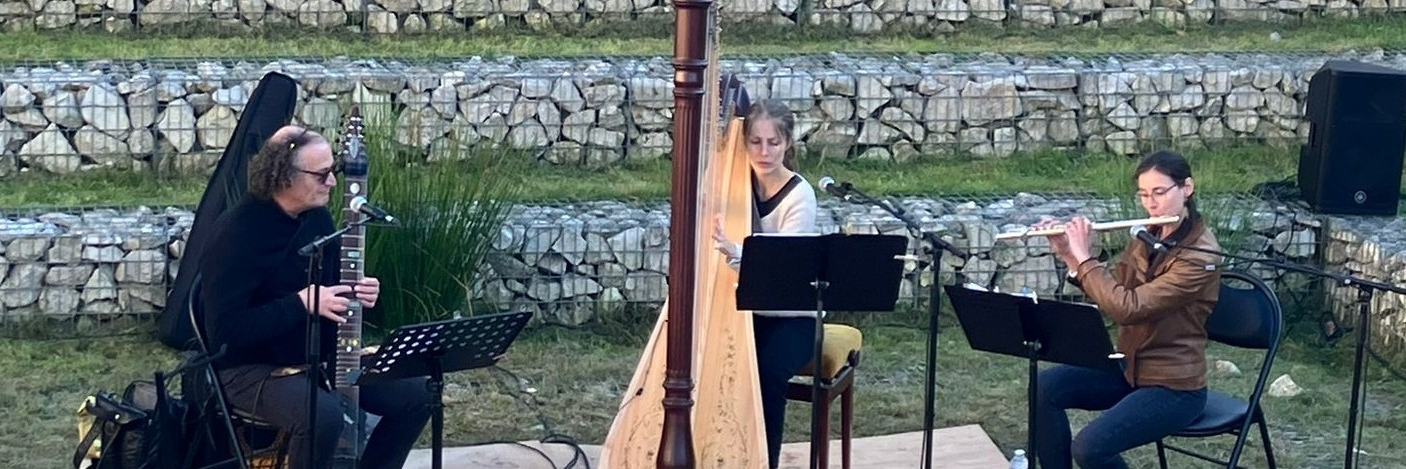 Harp'y Stick dans le vent, Groupe de Musique Jazz en représentation à Seine et Marne - photo de couverture n° 1