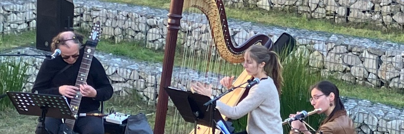 Harp'y Stick dans le vent, Groupe de Musique Jazz en représentation à Seine et Marne - photo de couverture n° 2