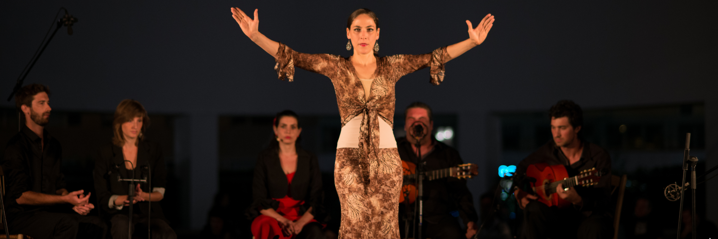 Cie Anda Jaleo, Groupe de Musique Flamenco en représentation à Rhône - photo de couverture n° 1