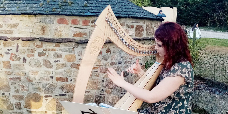 Telennaria, musicien Harpiste en représentation à Essonne - photo de couverture n° 3