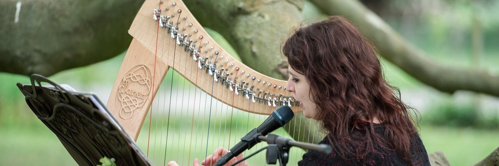 Telennaria, musicien Harpiste en représentation à Essonne - photo de couverture n° 4