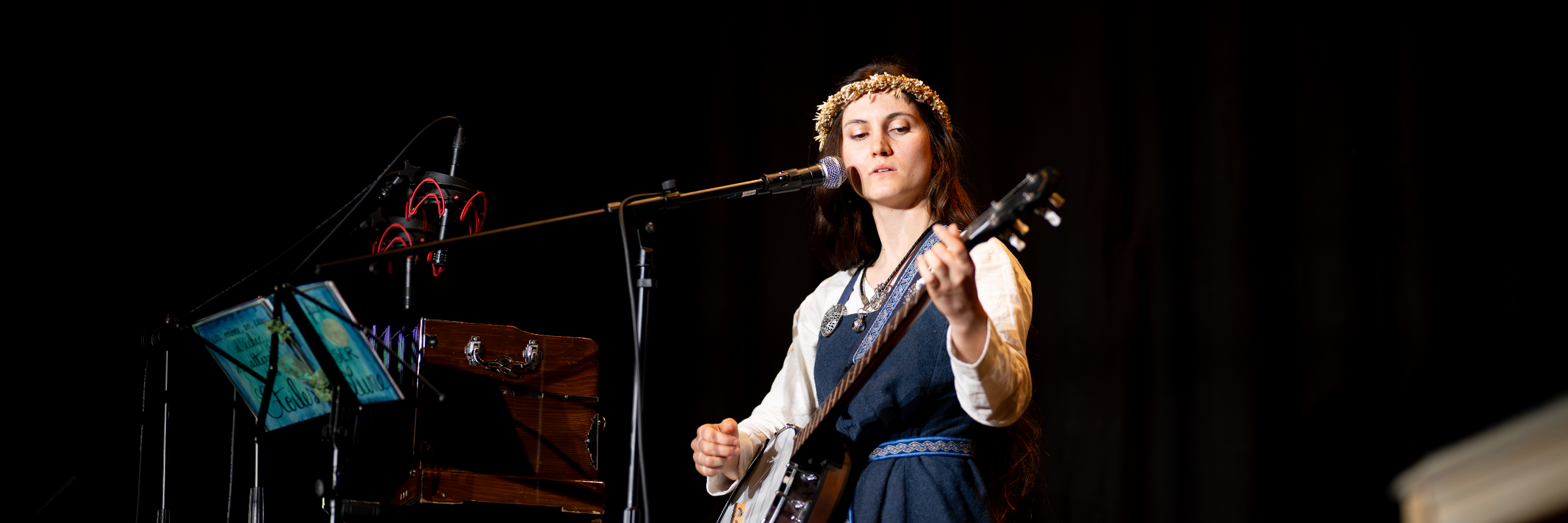 Cissy -  auteure-compositrice folk, musicien Chanteur en représentation à Savoie - photo de couverture