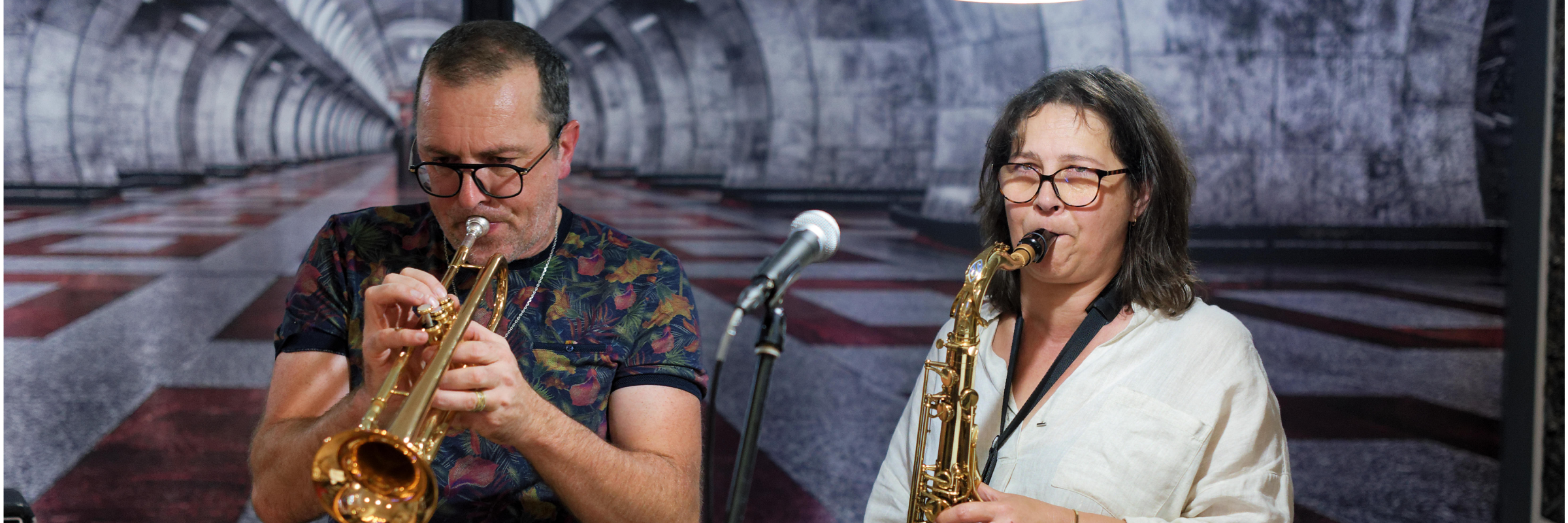 Someswing, Chanteur Jazz en représentation à Gard - photo de couverture