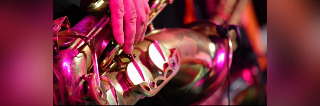 Saxophone Party HiKaloo, DJ Saxophoniste en représentation à Drôme - photo de couverture