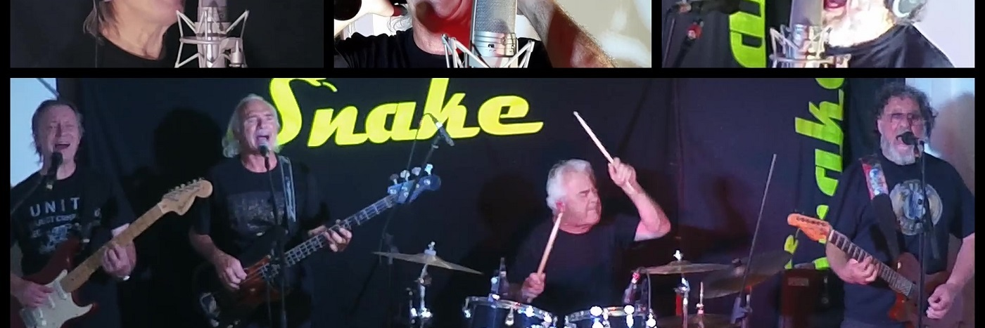 SNAKE, groupe de musique Rock en représentation à Ille et Vilaine - photo de couverture