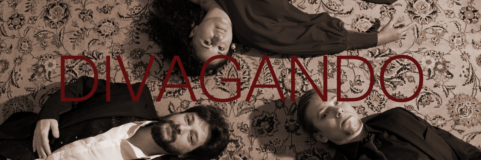 Divagando, groupe de musique Latino en représentation à Hérault - photo de couverture n° 1