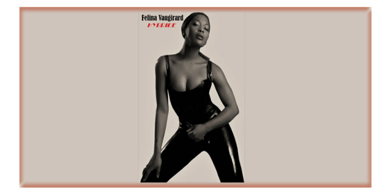 Felina Vaugirard, musicien Pop en représentation - photo de couverture