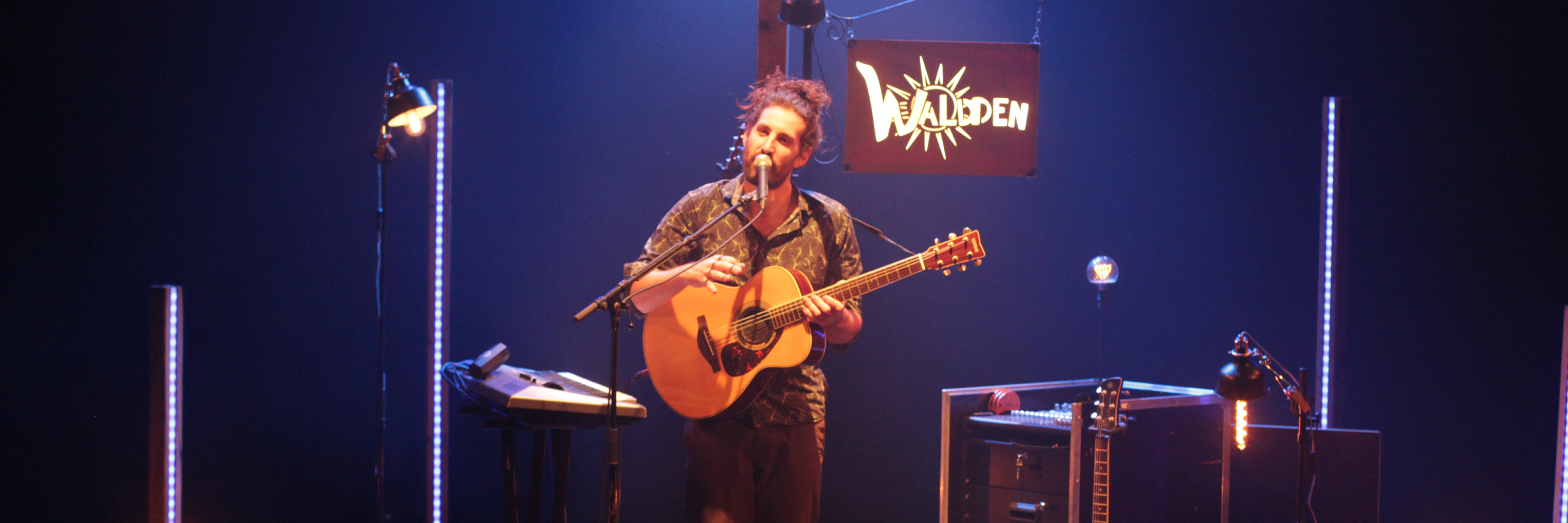 Waldden, musicien Pop en représentation à Maine et Loire - photo de couverture