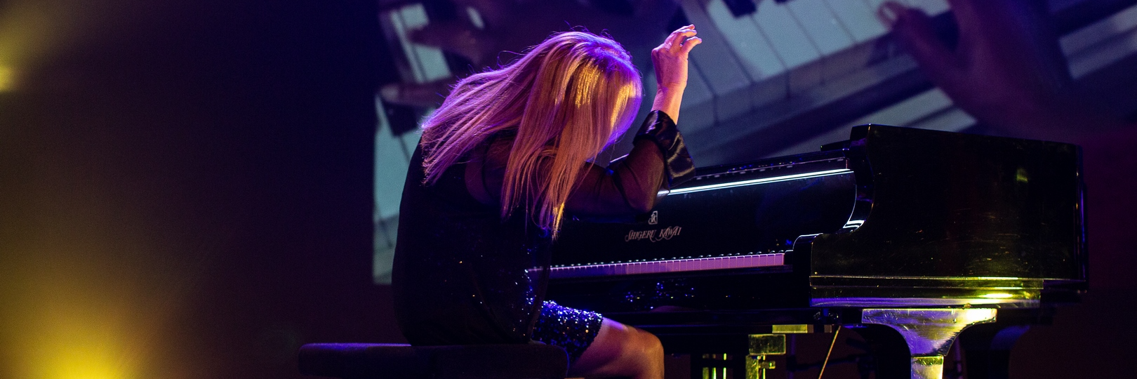 Nadine SADARNAC, musicien Pianiste en représentation à Haute Vienne - photo de couverture n° 2