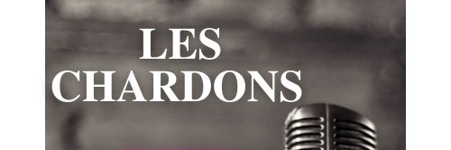 Les Chardons, musicien Guitariste en représentation à Savoie - photo de couverture n° 1