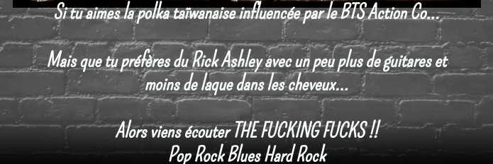 THE FUCKING FUCKS, groupe de musique Rock en représentation à Loire Atlantique - photo de couverture n° 5