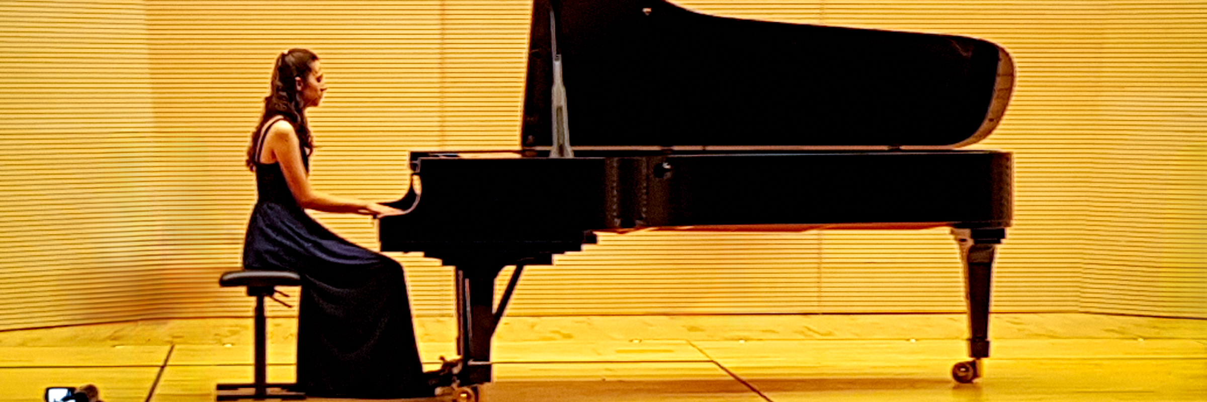 Piano Solo - Melita - pop, jazz, classical musique, musicien Pianiste en représentation à Paris - photo de couverture