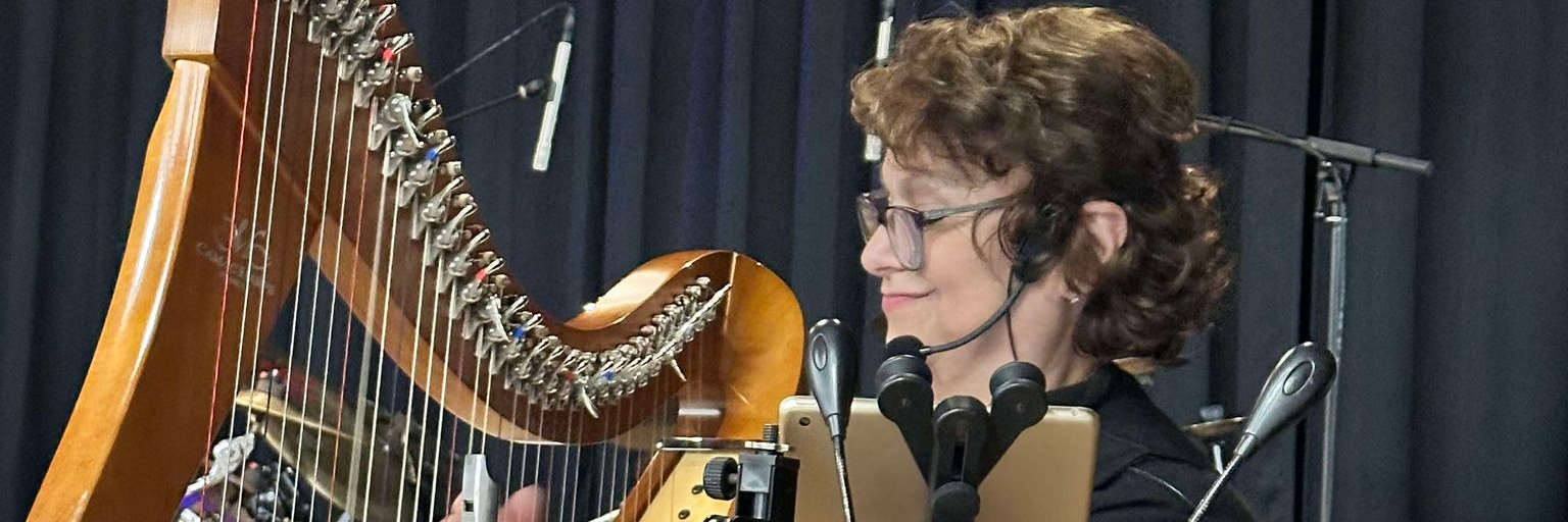 Celtic Carentona, groupe de musique Celtique en représentation à Charente Maritime - photo de couverture n° 2