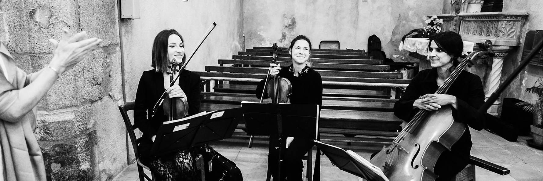 Luster Trio, groupe de musique Acoustique en représentation à Rhône - photo de couverture n° 3