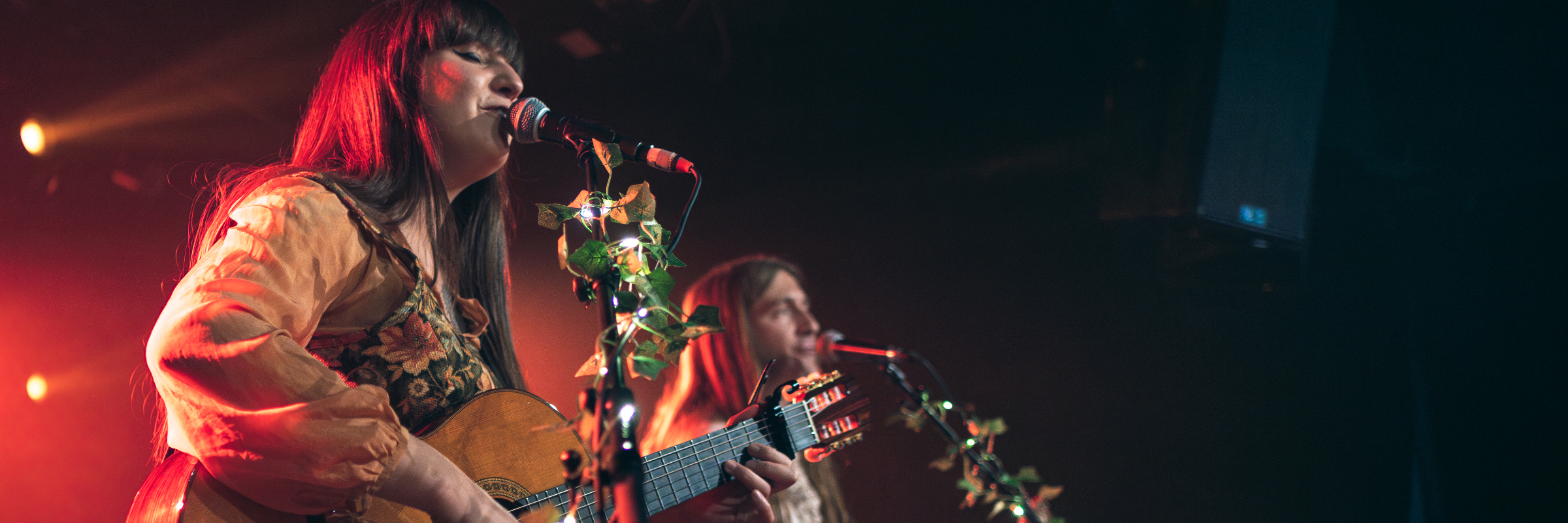 Two Magnets, Chanteur Folk en représentation à Bas Rhin - photo de couverture n° 3