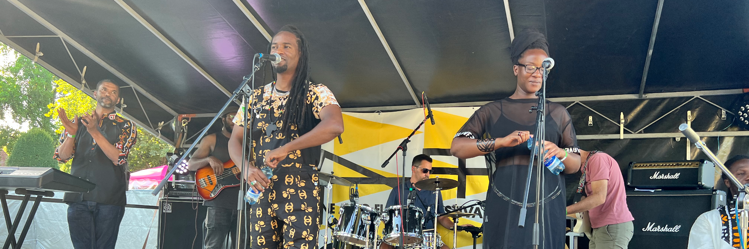 Pepe Diallo, groupe de musique Reggae en représentation à Bas Rhin - photo de couverture