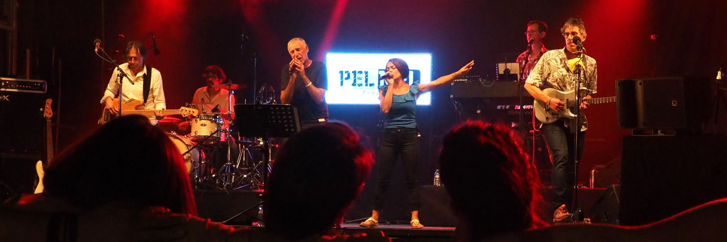 Pelmel Project, groupe de musique Pop en représentation à Isère - photo de couverture n° 2