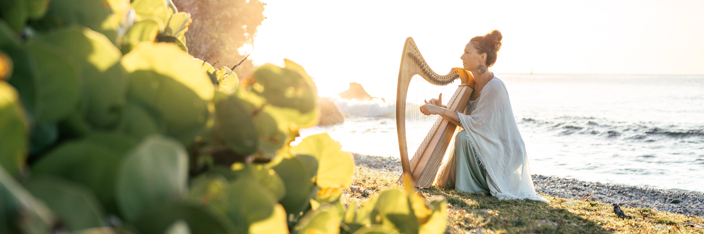 Violaine la harpiste ~ harpe celtique , musicien Musique Irlandaise en représentation à Finistère - photo de couverture n° 1