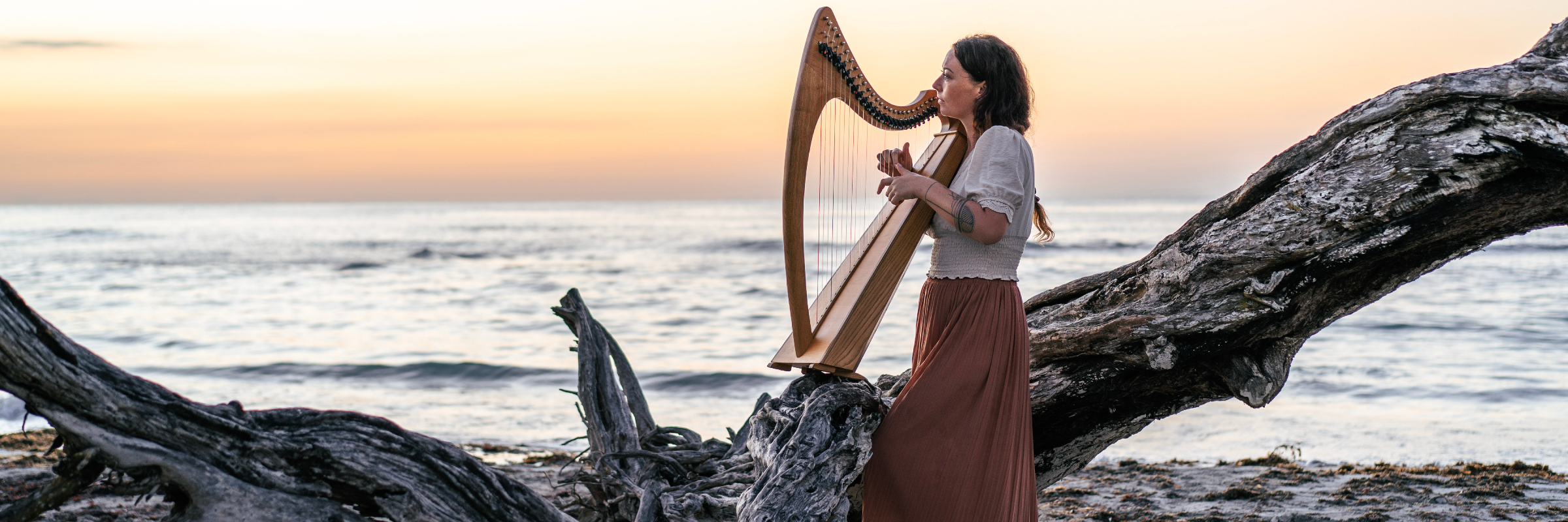 Violaine la harpiste ~ harpe celtique , musicien Musique Irlandaise en représentation à Finistère - photo de couverture n° 2
