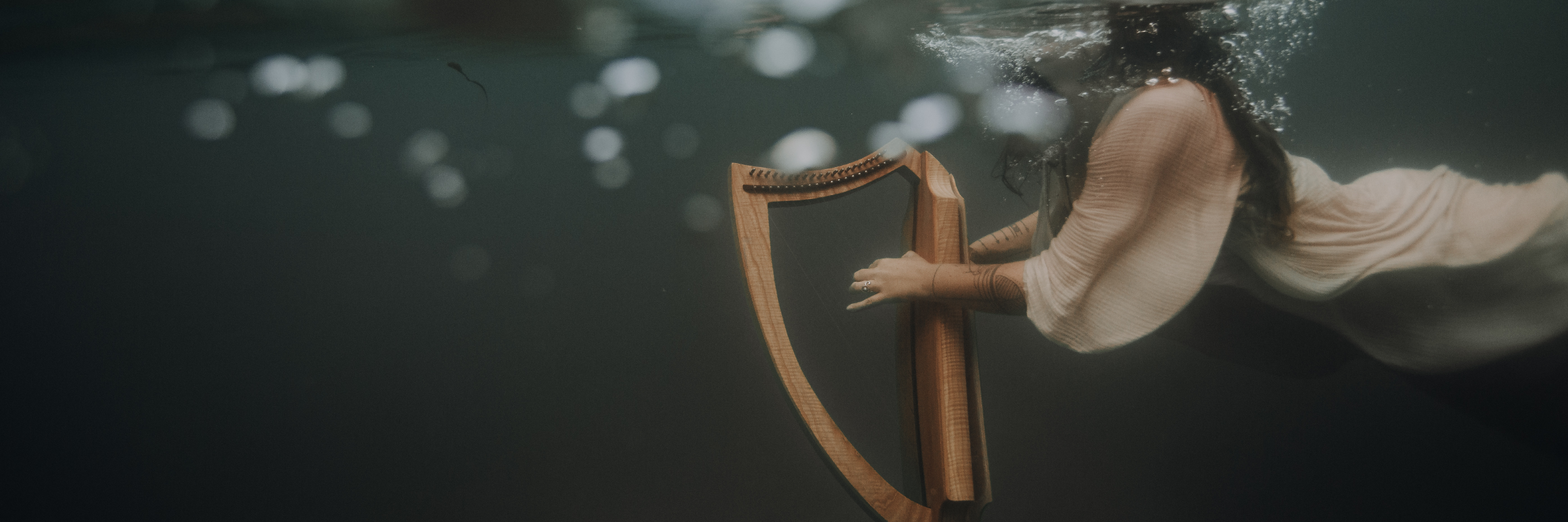 Violaine la harpiste ~ harpe celtique , musicien Irlandaise en représentation à Finistère - photo de couverture n° 3