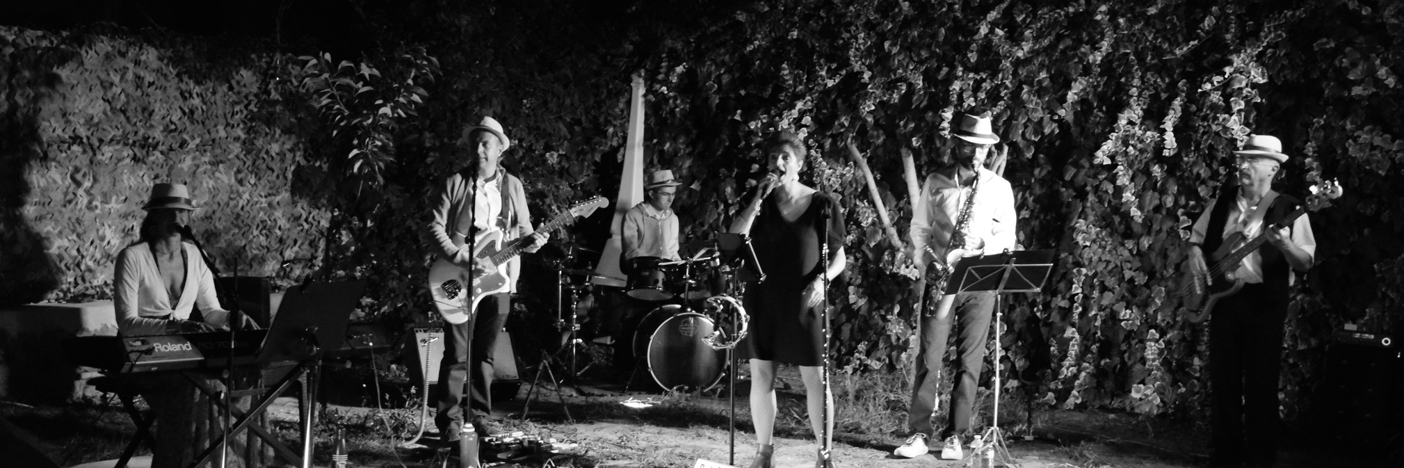 The Whizz Band, groupe de musique Soul en représentation à Hérault - photo de couverture