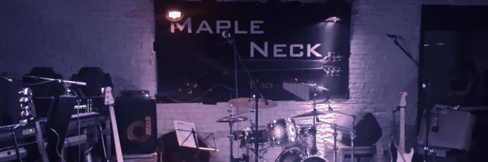 Maple Neck, groupe de musique Guitariste en représentation à Rhône - photo de couverture n° 4