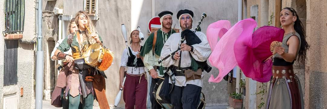 Les Gaflos, groupe de musique Musiques du Monde en représentation à Bouches du Rhône - photo de couverture n° 5