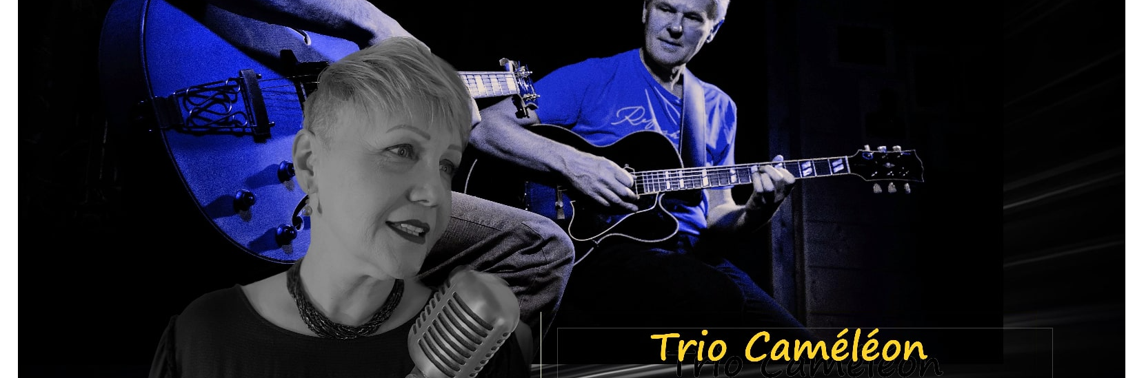 Duo/Trio Caméléon, musicien Swing en représentation à Bas Rhin - photo de couverture n° 2