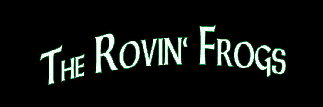 The Rovin' Frogs, groupe de musique Musique Irlandaise en représentation à Puy de Dôme - photo de couverture