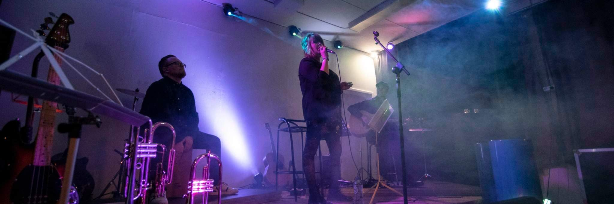 White Lady , groupe de musique Acoustique en représentation à Province de Hainaut - photo de couverture n° 3