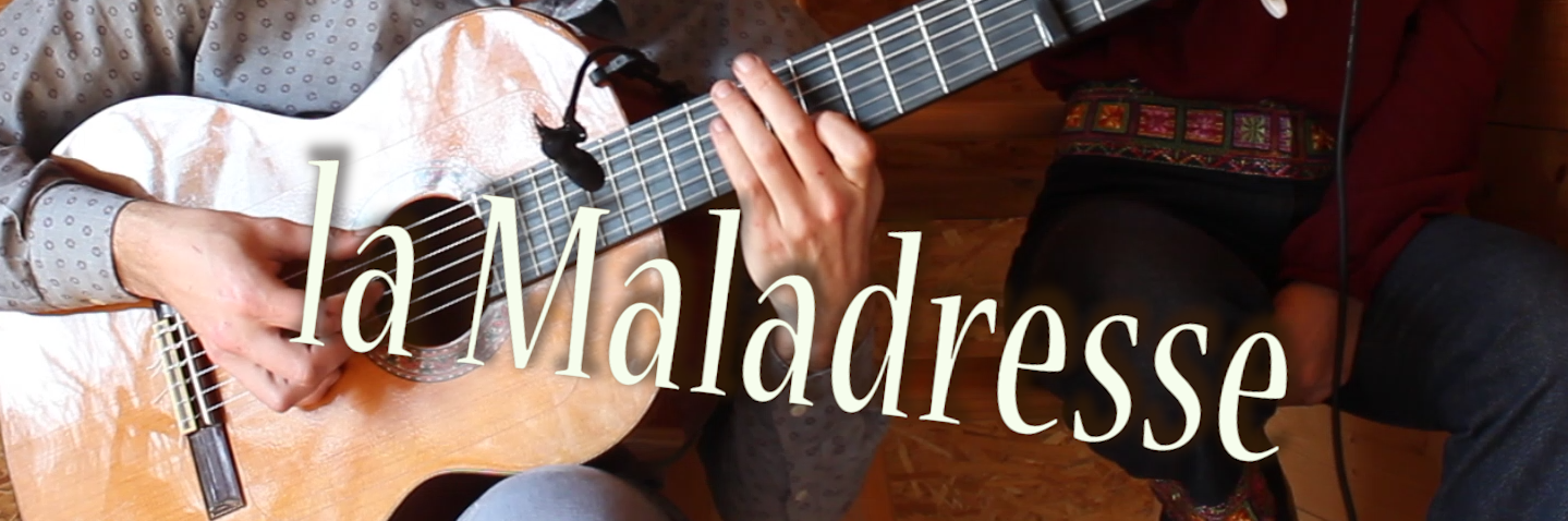 La Maladresse, musicien Acoustique en représentation à Dordogne - photo de couverture