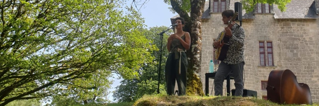 La Maladresse, musicien Acoustique en représentation à Dordogne - photo de couverture n° 1