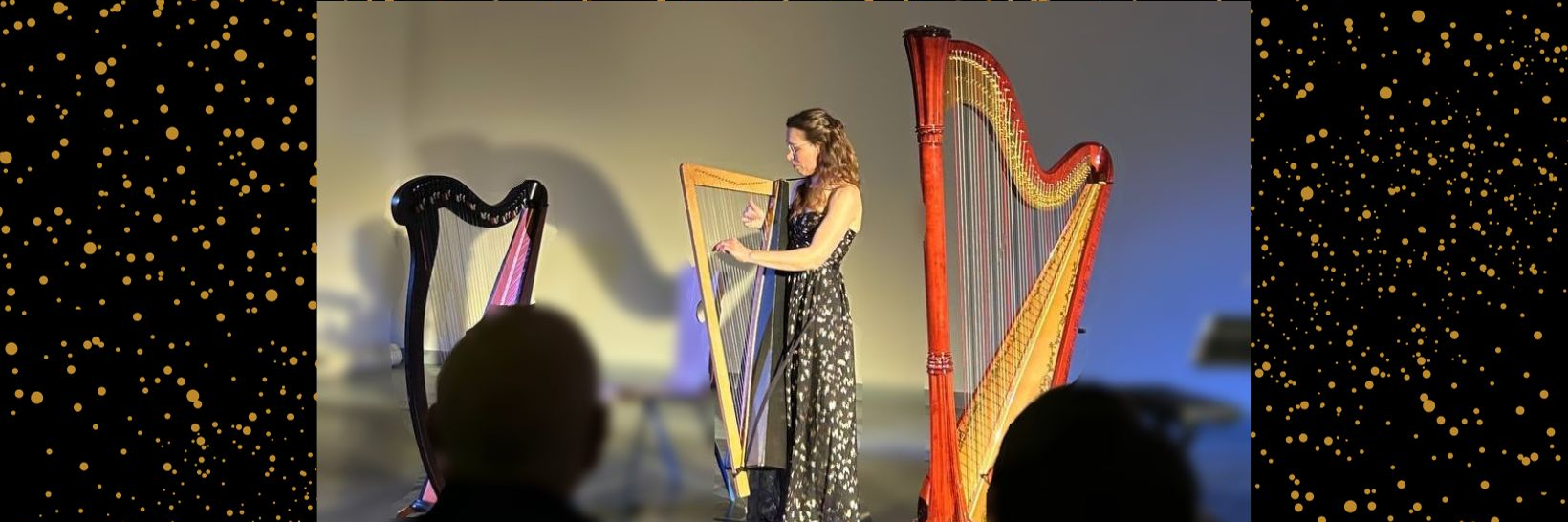 Elen Hervochon, musicien Harpiste en représentation à Saône et Loire - photo de couverture
