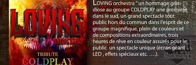 LOVING , groupe de musique Pop en représentation à Pyrénées Orientales - photo de couverture