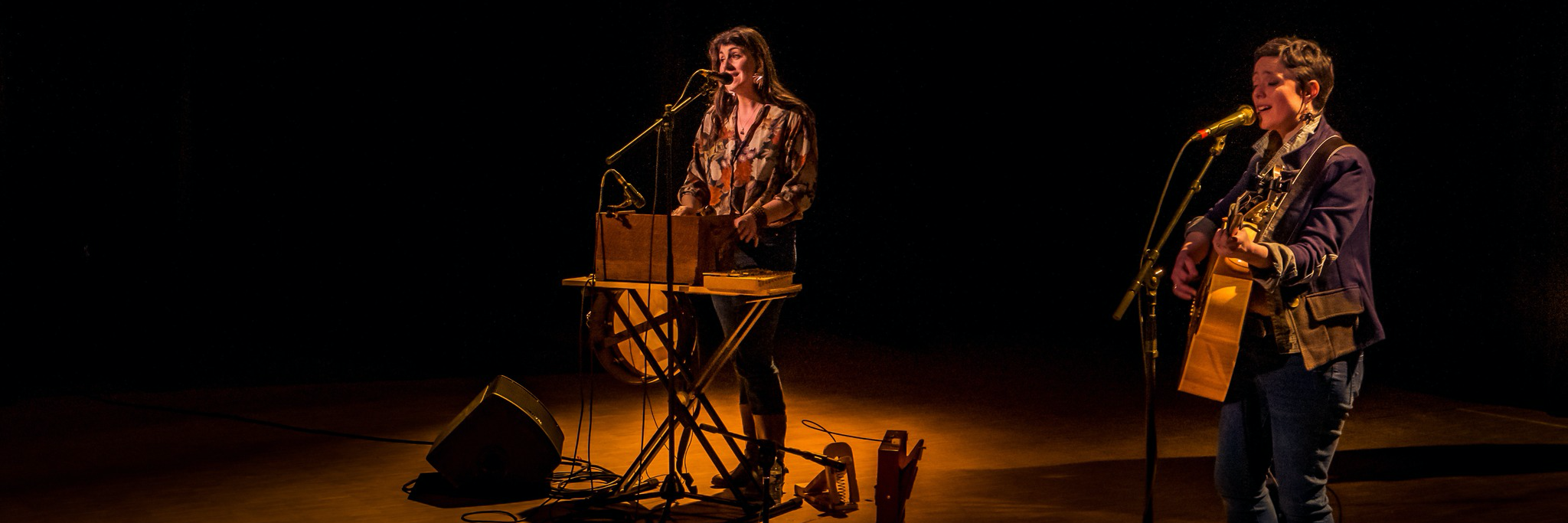 Tou, musicien Folk en représentation à Isère - photo de couverture