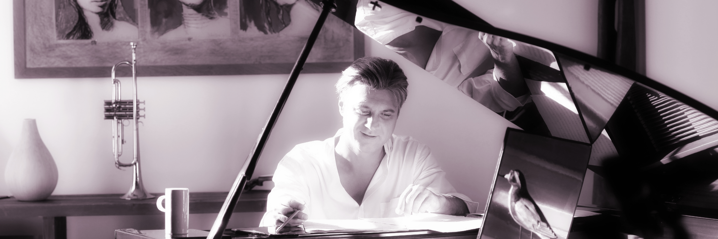 Franck Monbaylet, musicien Pianiste en représentation à Vaucluse - photo de couverture