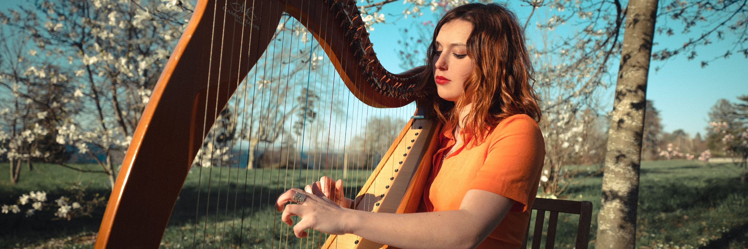 Angèle François , musicien Musique Celtique en représentation à Haute Savoie - photo de couverture n° 2