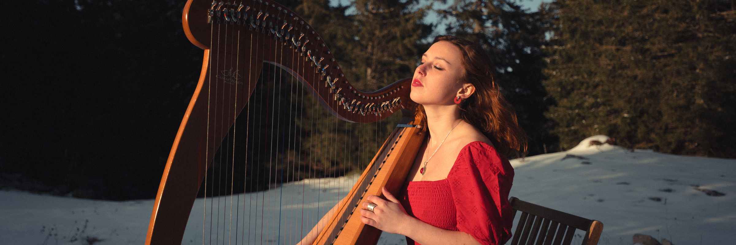 Angèle François , musicien Musique Celtique en représentation à Haute Savoie - photo de couverture n° 3