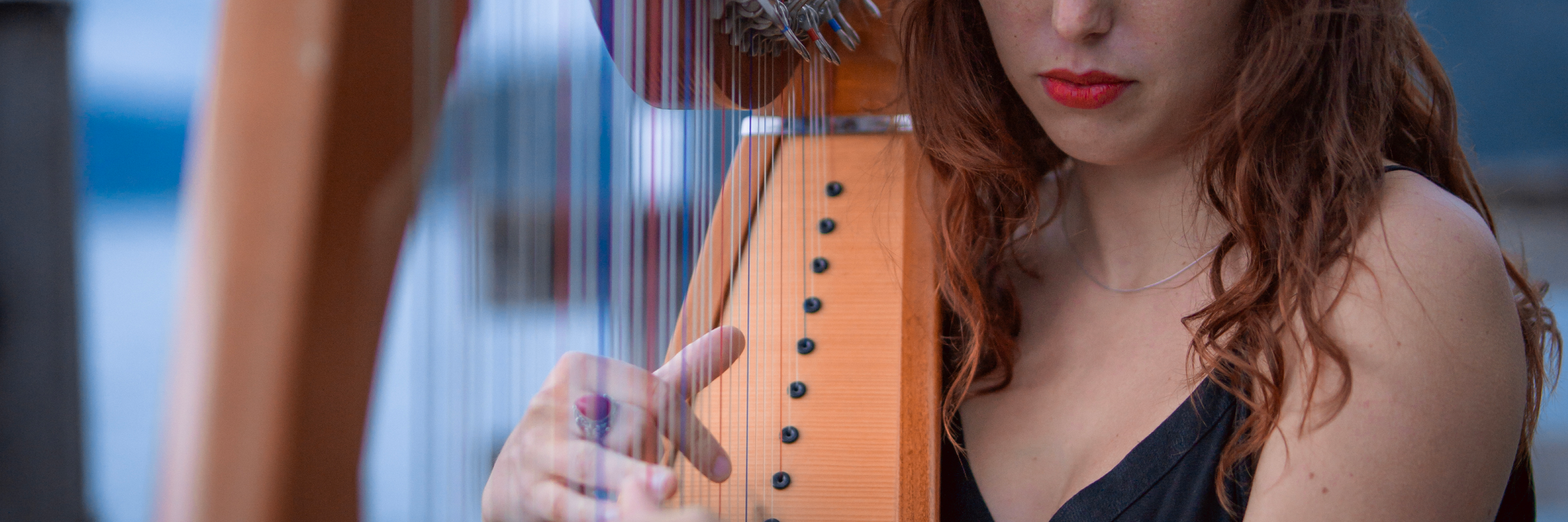Angèle François , musicien Musique Celtique en représentation à Haute Savoie - photo de couverture n° 4