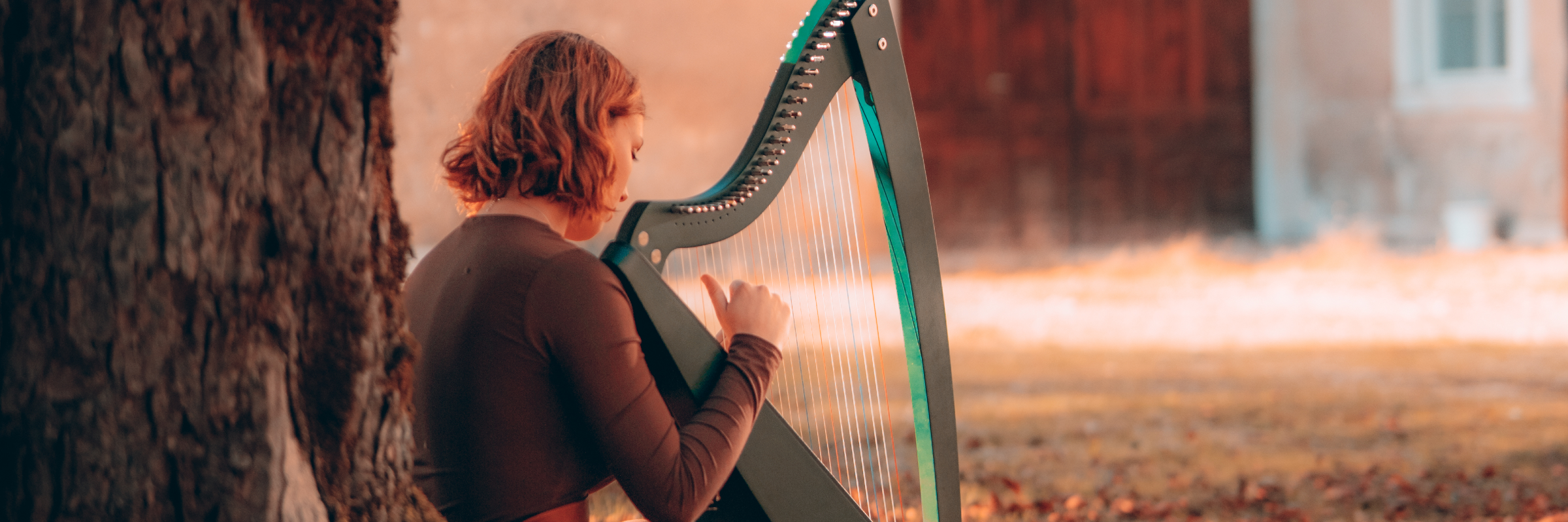 Angèle François , musicien Musique Celtique en représentation à Haute Savoie - photo de couverture n° 5