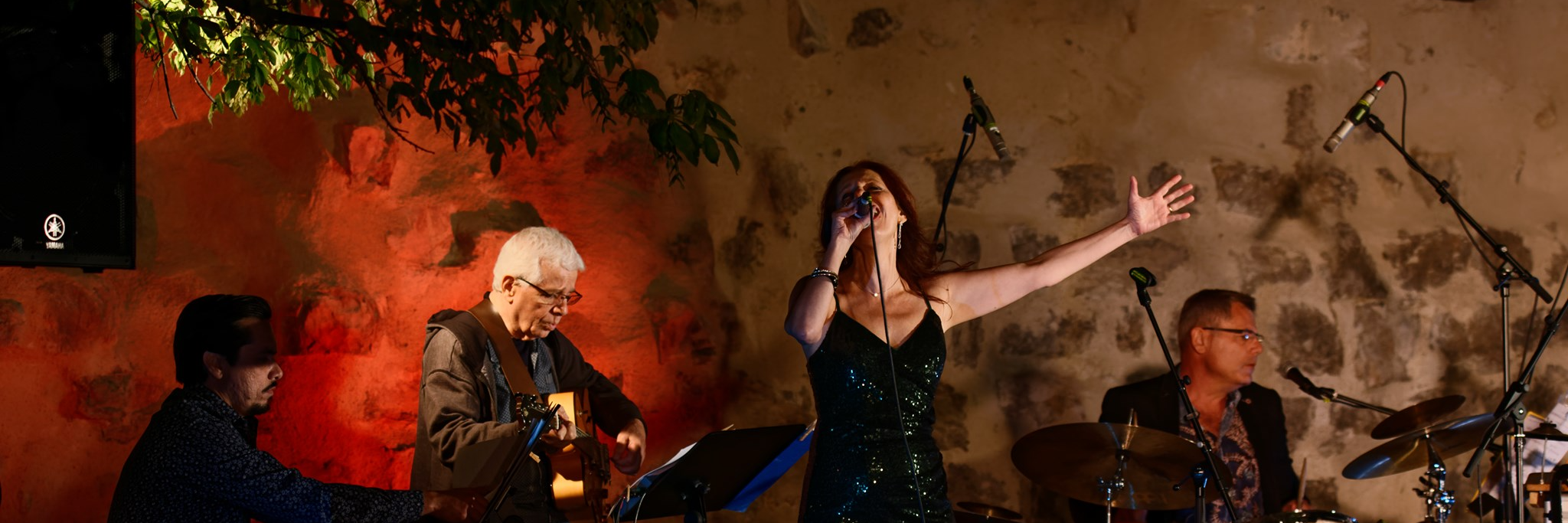 Stéphanie MORALES, groupe de musique Chanteur en représentation à Rhône - photo de couverture n° 4