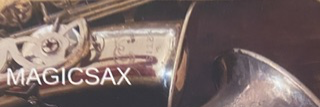 Magicsax , musicien Saxophoniste en représentation à Gard - photo de couverture