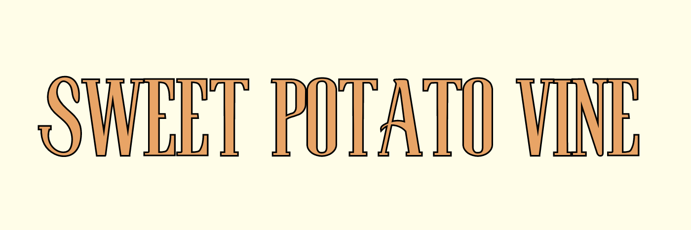 Sweet Potato Vine, groupe de musique Folk en représentation à Haute Garonne - photo de couverture
