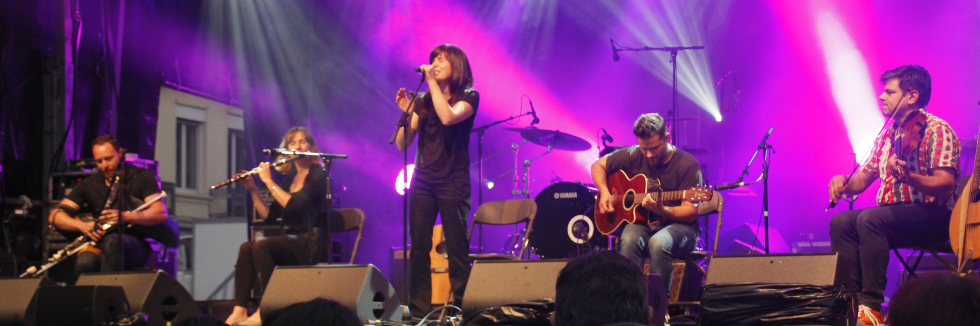 Weasel, groupe de musique Musique Irlandaise en représentation à Loire - photo de couverture n° 3