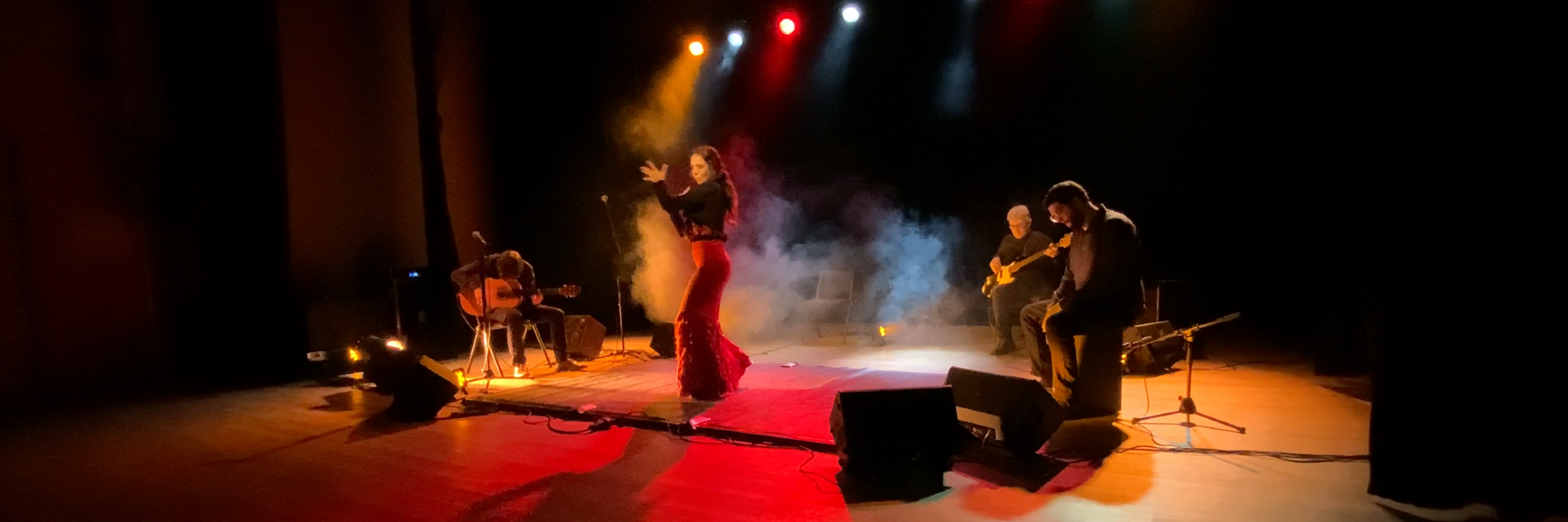 Caravela, groupe de musique Flamenco en représentation à Meurthe et Moselle - photo de couverture n° 4