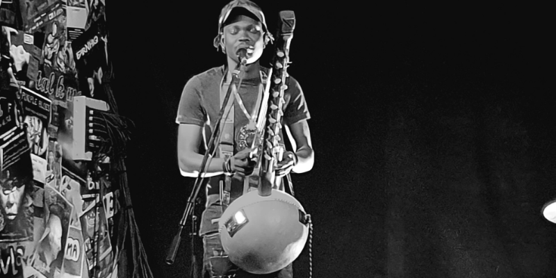 ZAI KOITA, musicien Musiques du monde en représentation à Haute Garonne - photo de couverture n° 2