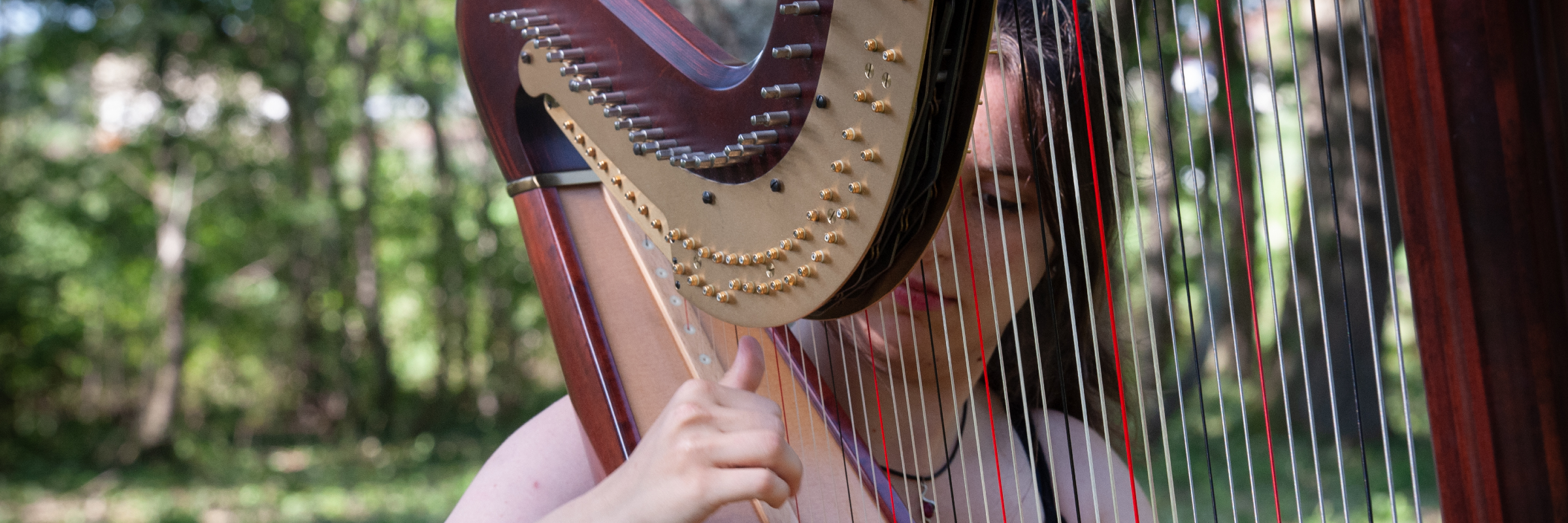 Flora Francescut, musicien Musique Celtique en représentation à Loire - photo de couverture n° 1
