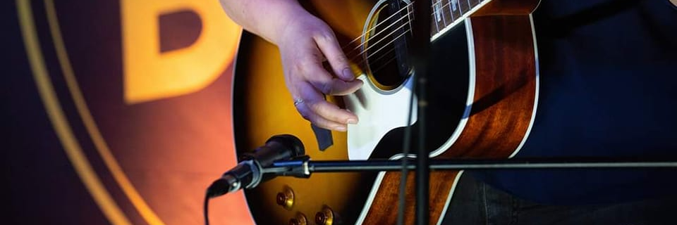 Melaine Koeppel, musicien Chanteur en représentation à Bas Rhin - photo de couverture