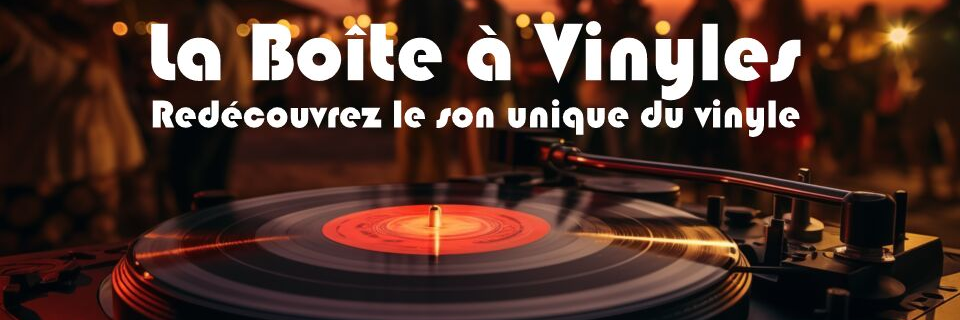 Richard en Solo - La Boîte à Vinyles (concept bar à vinyles), Chanteur Chanteur en représentation à Loire Atlantique - photo de couverture n° 2